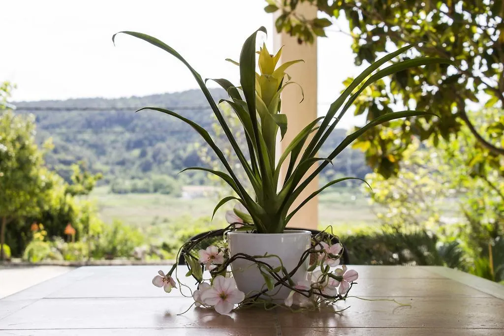 Apartment Gulic Supetarska Draga